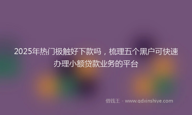 2025年热门极触好下款吗，梳理五个黑户可快速办理小额贷款业务的平台