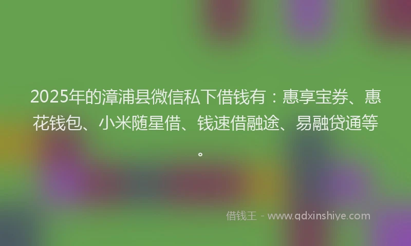 2025年的漳浦县微信私下借钱有：惠享宝券、惠花钱包、小米随星借、钱速借融途、易融贷通等。