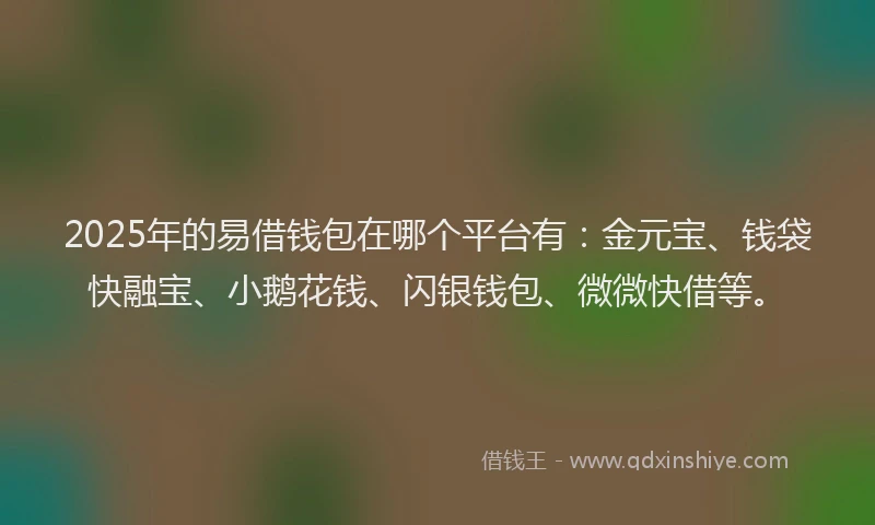 2025年的易借钱包在哪个平台有：金元宝、钱袋快融宝、小鹅花钱、闪银钱包、微微快借等。