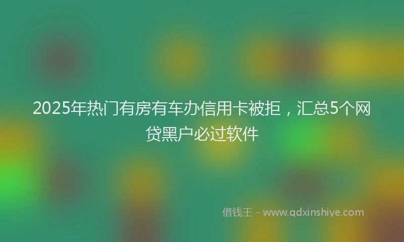2025年热门有房有车办信用卡被拒，汇总5个网贷黑户必过软件