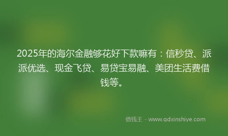 2025年的海尔金融够花好下款嘛有：信秒贷、派派优选、现金飞贷、易贷宝易融、美团生活费借钱等。