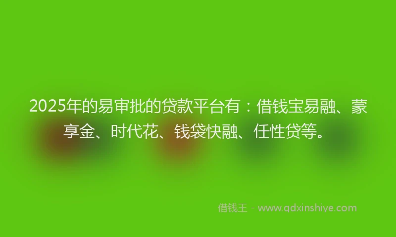 2025年的易审批的贷款平台有：借钱宝易融、蒙享金、时代花、钱袋快融、任性贷等。