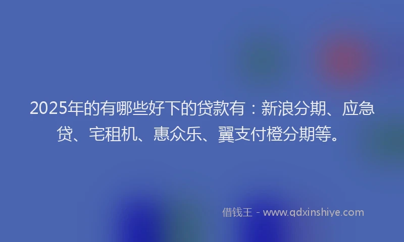 2025年的有哪些好下的贷款有：新浪分期、应急贷、宅租机、惠众乐、翼支付橙分期等。