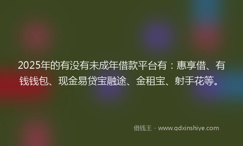 2025年的有没有未成年借款平台有：惠享借、有钱钱包、现金易贷宝融途、金租宝、射手花等。