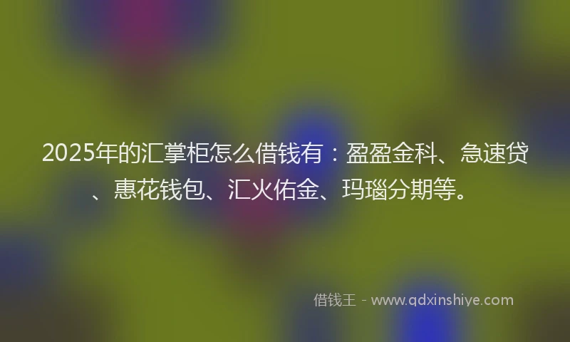 2025年的汇掌柜怎么借钱有：盈盈金科、急速贷、惠花钱包、汇火佑金、玛瑙分期等。