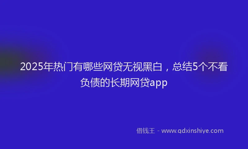 2025年热门有哪些网贷无视黑白，总结5个不看负债的长期网贷app
