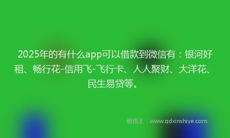 2025年的有什么app可以借款到微信有：银河好租、畅行花-信用飞-飞行卡、人人聚财、大洋花、民生易贷等。