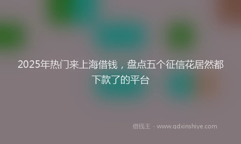 2025年热门来上海借钱，盘点五个征信花居然都下款了的平台