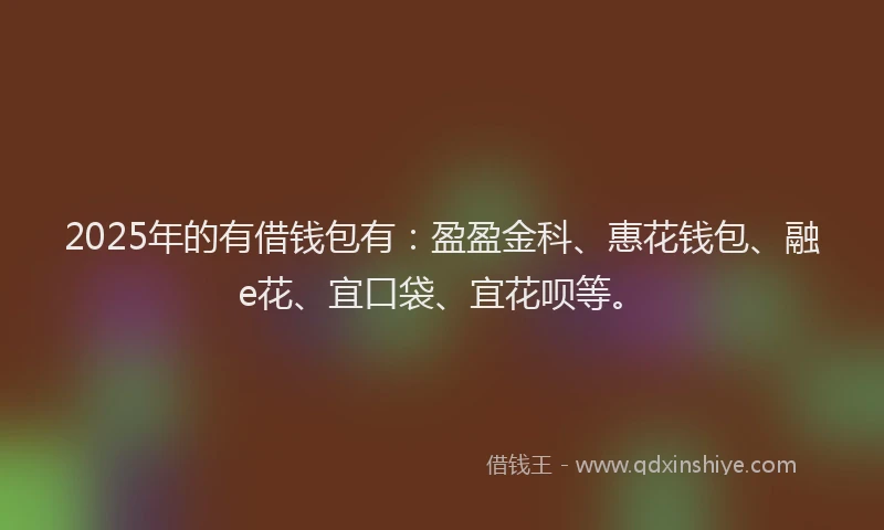 2025年的有借钱包有：盈盈金科、惠花钱包、融e花、宜口袋、宜花呗等。
