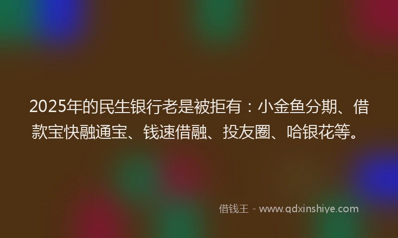 2025年的民生银行老是被拒有：小金鱼分期、借款宝快融通宝、钱速借融、投友圈、哈银花等。