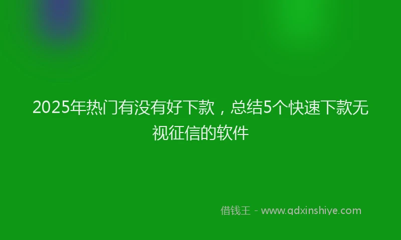2025年热门有没有好下款，总结5个快速下款无视征信的软件