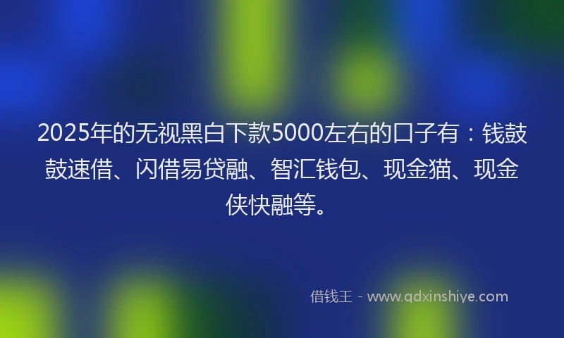 2025年的无视黑白下款5000左右的口子有：钱鼓鼓速借、闪借易贷融、智汇钱包、现金猫、现金侠快融等。