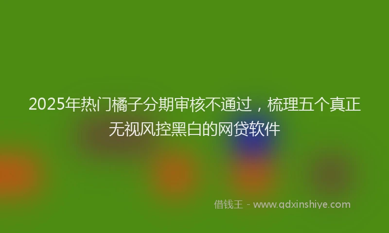 2025年热门橘子分期审核不通过，梳理五个真正无视风控黑白的网贷软件