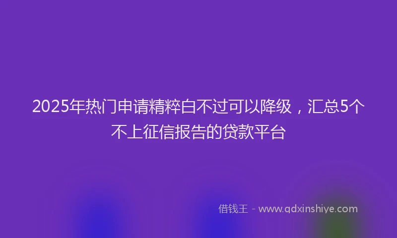 2025年热门申请精粹白不过可以降级，汇总5个不上征信报告的贷款平台