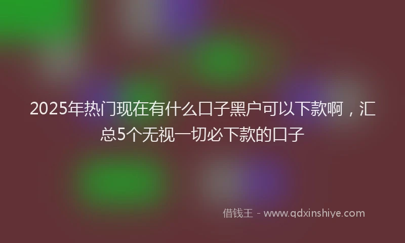 2025年热门现在有什么口子黑户可以下款啊，汇总5个无视一切必下款的口子