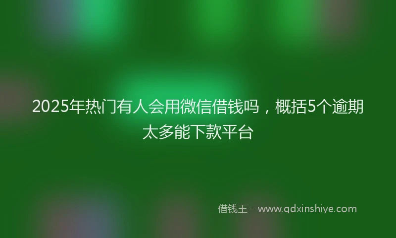 2025年热门有人会用微信借钱吗，概括5个逾期太多能下款平台