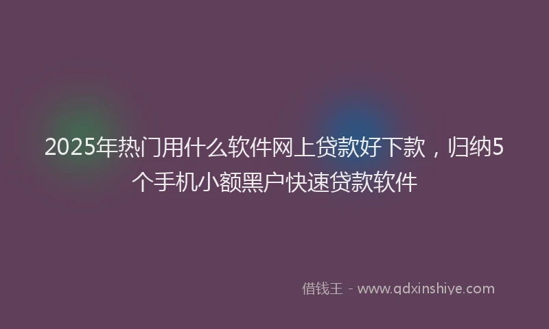 2025年热门用什么软件网上贷款好下款，归纳5个手机小额黑户快速贷款软件