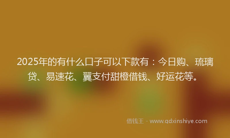 2025年的有什么口子可以下款有：今日购、琉璃贷、易速花、翼支付甜橙借钱、好运花等。