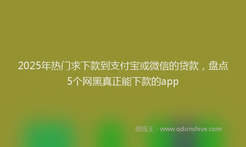 2025年热门求下款到支付宝或微信的贷款，盘点5个网黑真正能下款的app