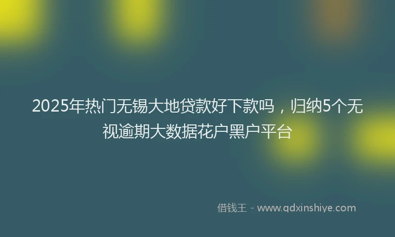 2025年热门无锡大地贷款好下款吗，归纳5个无视逾期大数据花户黑户平台