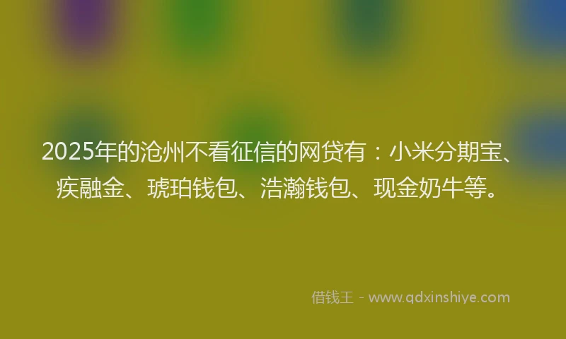 2025年的沧州不看征信的网贷有：小米分期宝、疾融金、琥珀钱包、浩瀚钱包、现金奶牛等。