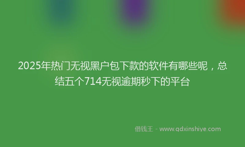 2025年热门无视黑户包下款的软件有哪些呢，总结五个714无视逾期秒下的平台