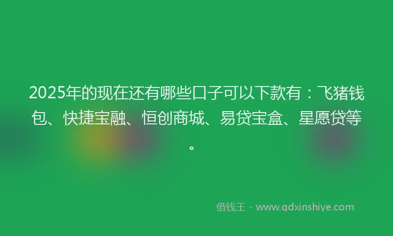 2025年的现在还有哪些口子可以下款有：飞猪钱包、快捷宝融、恒创商城、易贷宝盒、星愿贷等。