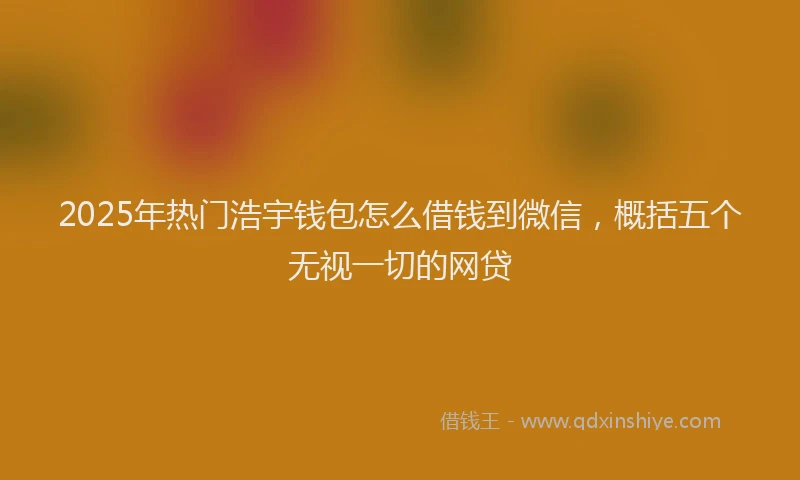 2025年热门浩宇钱包怎么借钱到微信，概括五个无视一切的网贷