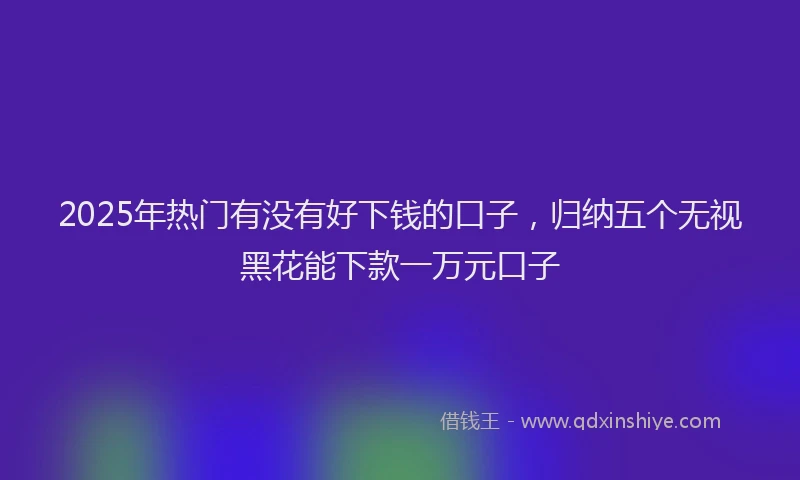 2025年热门有没有好下钱的口子，归纳五个无视黑花能下款一万元口子