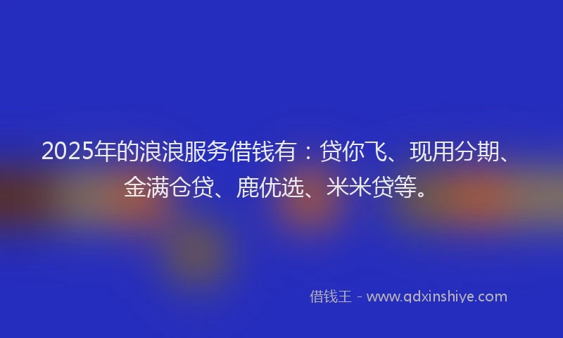 2025年的浪浪服务借钱有：贷你飞、现用分期、金满仓贷、鹿优选、米米贷等。