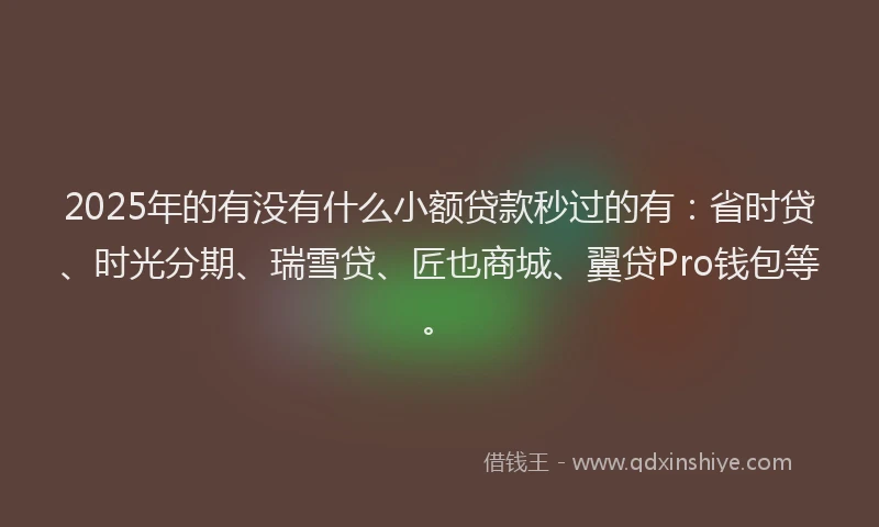 2025年的有没有什么小额贷款秒过的有：省时贷、时光分期、瑞雪贷、匠也商城、翼贷Pro钱包等。