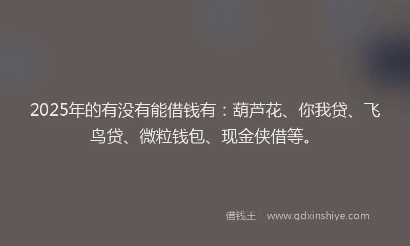2025年的有没有能借钱有：葫芦花、你我贷、飞鸟贷、微粒钱包、现金侠借等。