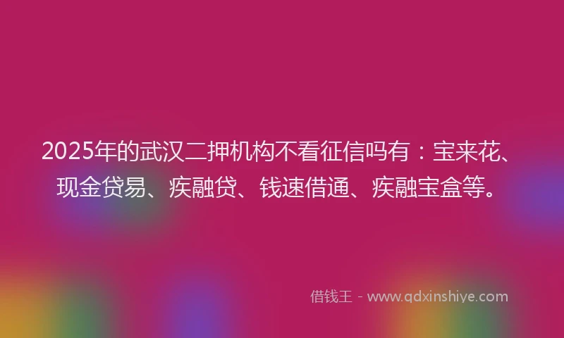 2025年的武汉二押机构不看征信吗有：宝来花、现金贷易、疾融贷、钱速借通、疾融宝盒等。