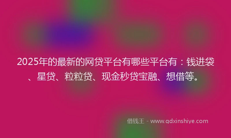 2025年的最新的网贷平台有哪些平台有：钱进袋、星贷、粒粒贷、现金秒贷宝融、想借等。