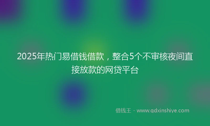 2025年热门易借钱借款，整合5个不审核夜间直接放款的网贷平台