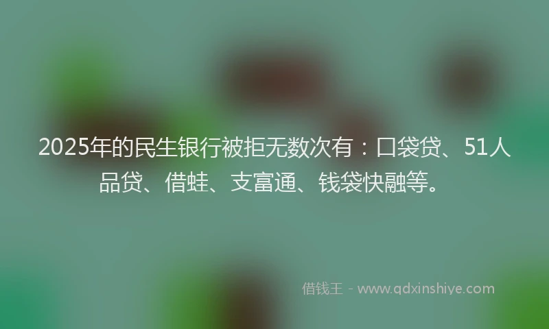 2025年的民生银行被拒无数次有：口袋贷、51人品贷、借蛙、支富通、钱袋快融等。