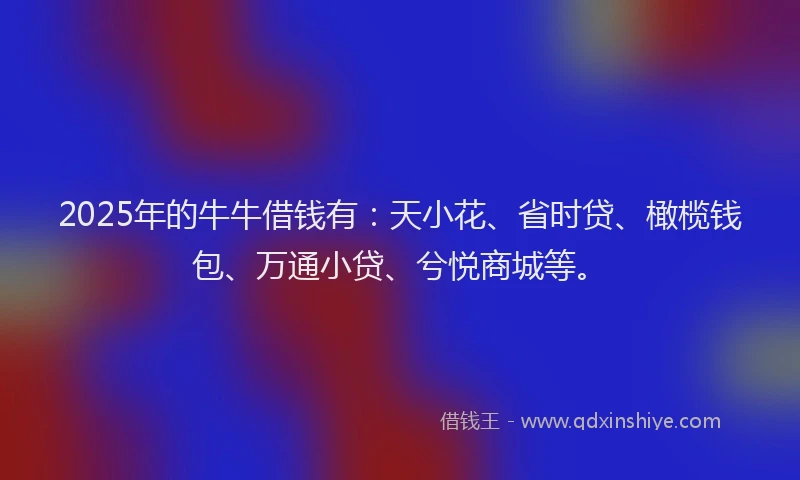 2025年的牛牛借钱有：天小花、省时贷、橄榄钱包、万通小贷、兮悦商城等。