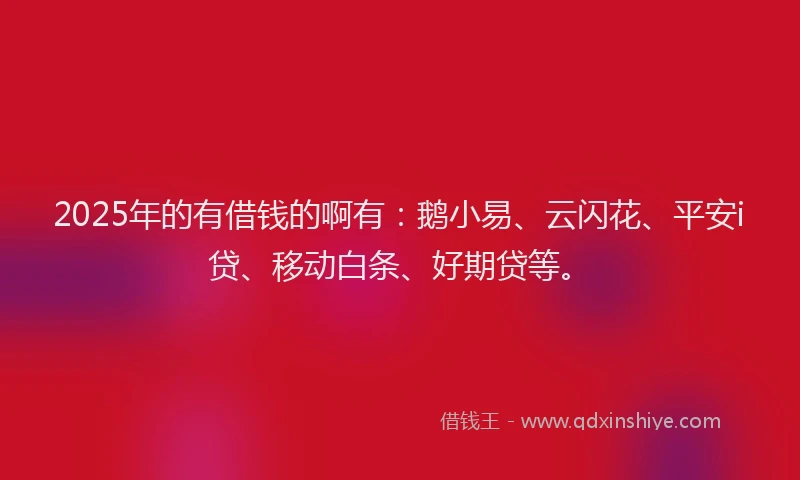 2025年的有借钱的啊有：鹅小易、云闪花、平安i贷、移动白条、好期贷等。