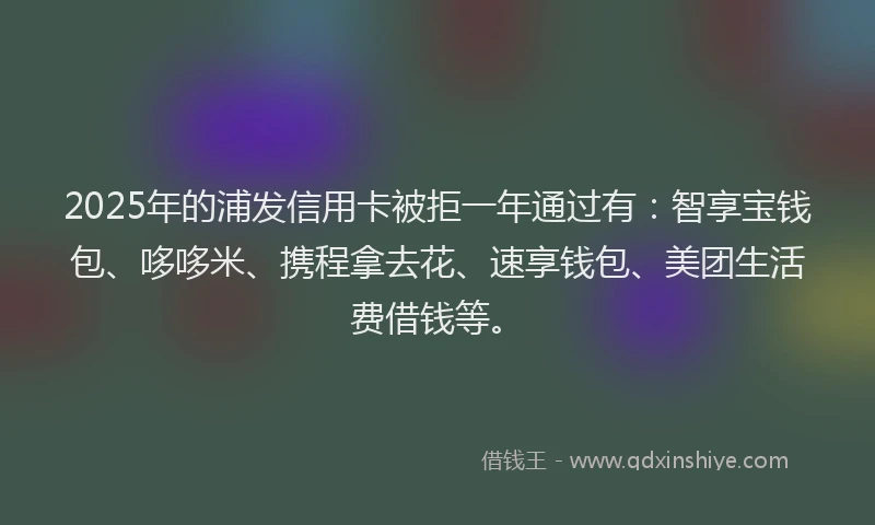 2025年的浦发信用卡被拒一年通过有：智享宝钱包、哆哆米、携程拿去花、速享钱包、美团生活费借钱等。