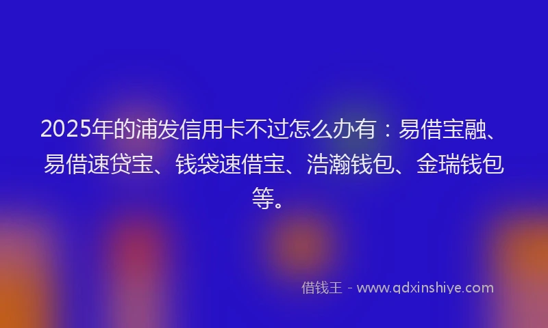 2025年的浦发信用卡不过怎么办有：易借宝融、易借速贷宝、钱袋速借宝、浩瀚钱包、金瑞钱包等。