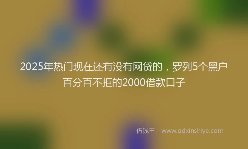 2025年热门现在还有没有网贷的，罗列5个黑户百分百不拒的2000借款口子