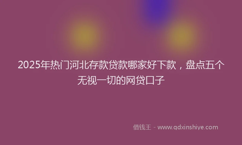 2025年热门河北存款贷款哪家好下款，盘点五个无视一切的网贷口子