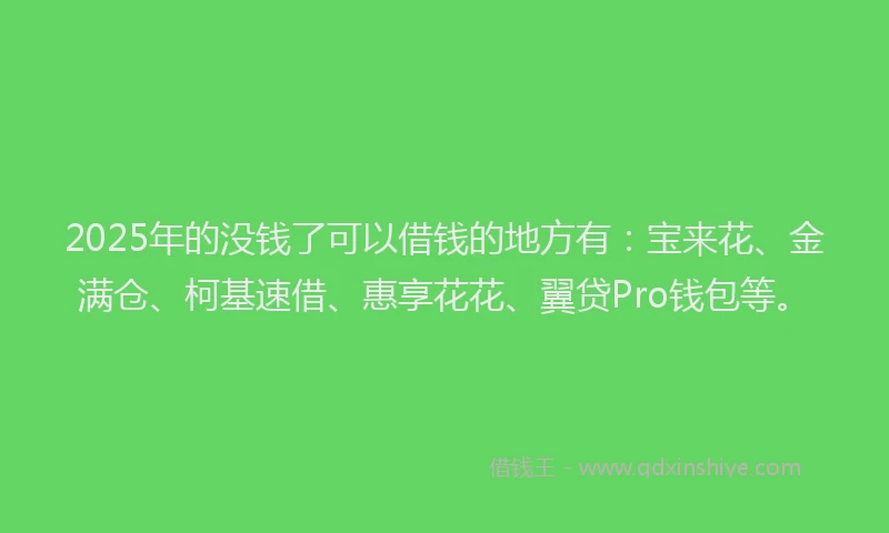 2025年的没钱了可以借钱的地方有：宝来花、金满仓、柯基速借、惠享花花、翼贷Pro钱包等。
