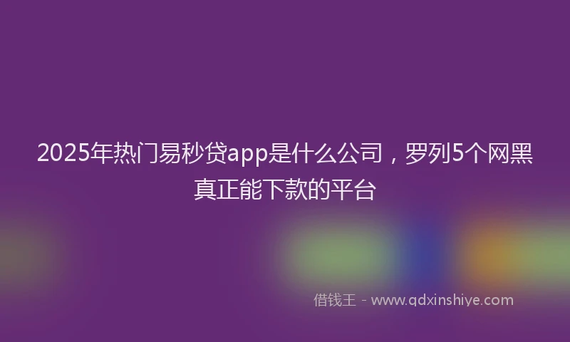 2025年热门易秒贷app是什么公司，罗列5个网黑真正能下款的平台