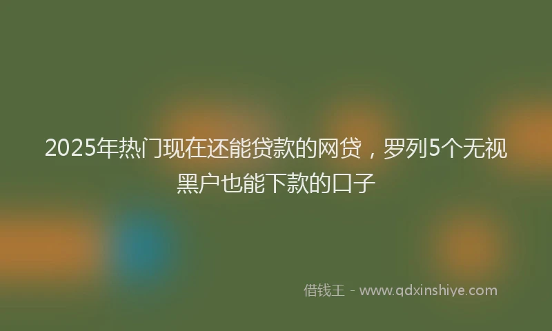 2025年热门现在还能贷款的网贷，罗列5个无视黑户也能下款的口子