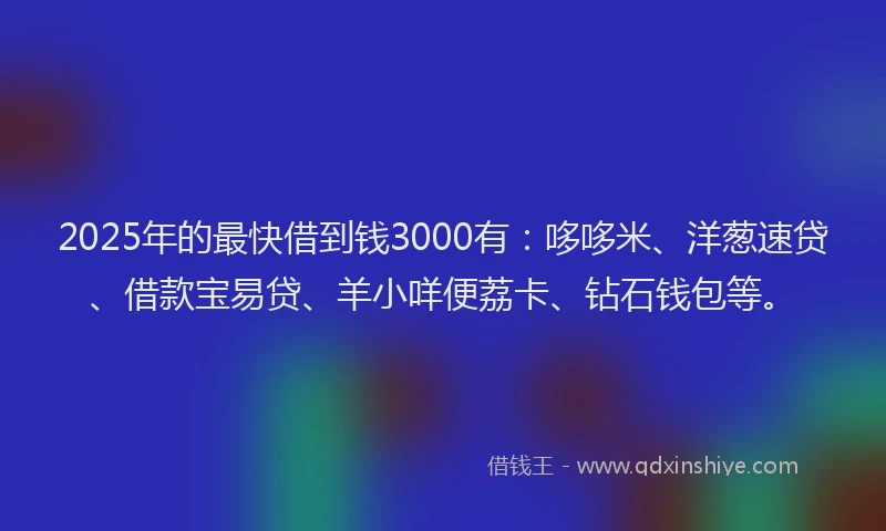 2025年的最快借到钱3000有：哆哆米、洋葱速贷、借款宝易贷、羊小咩便荔卡、钻石钱包等。