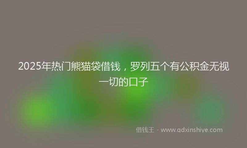 2025年热门熊猫袋借钱，罗列五个有公积金无视一切的口子
