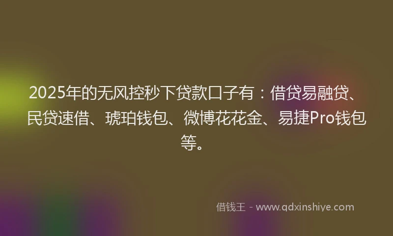 2025年的无风控秒下贷款口子有：借贷易融贷、民贷速借、琥珀钱包、微博花花金、易捷Pro钱包等。