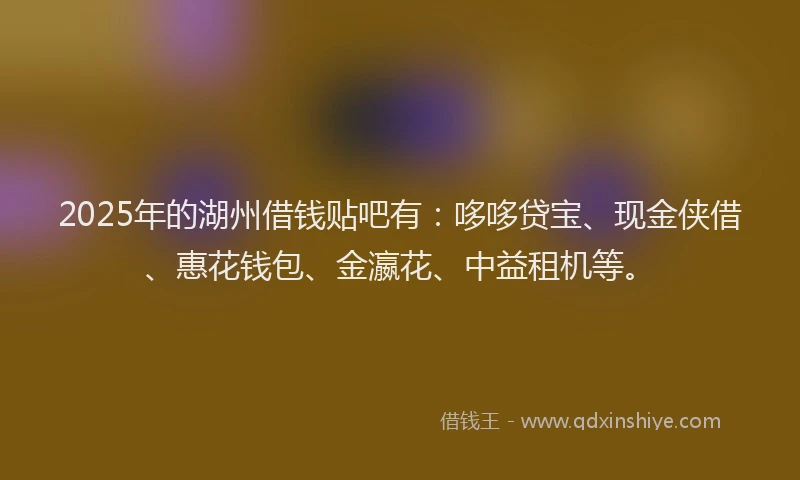 2025年的湖州借钱贴吧有：哆哆贷宝、现金侠借、惠花钱包、金瀛花、中益租机等。