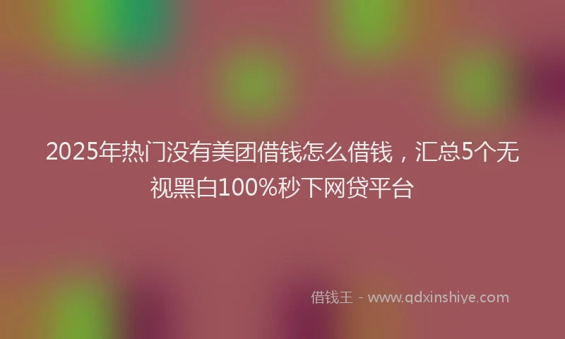 2025年热门没有美团借钱怎么借钱，汇总5个无视黑白100%秒下网贷平台